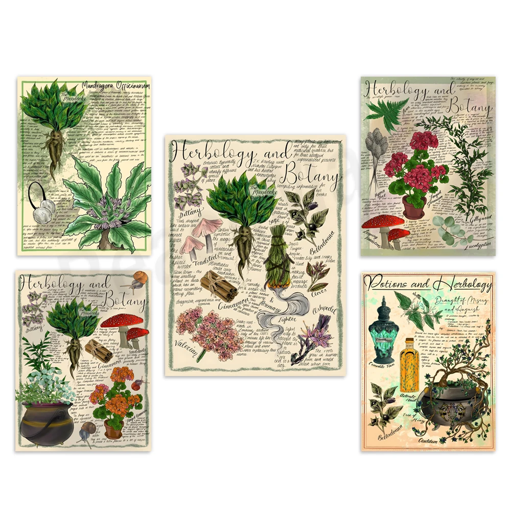 Mandrake Textbook: Herbs and Botany Prints, Drinks and Herbal Tea Art, Basilisk and Phoenix Textbook Page Canvas Print Poster