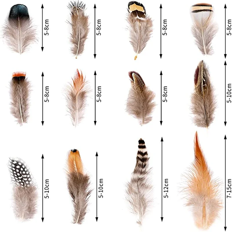 Wholesale 12 Styled Natural Feathers Assorted Mixed Feathers for Jewelry and Dream Catcher Crafts Decoration