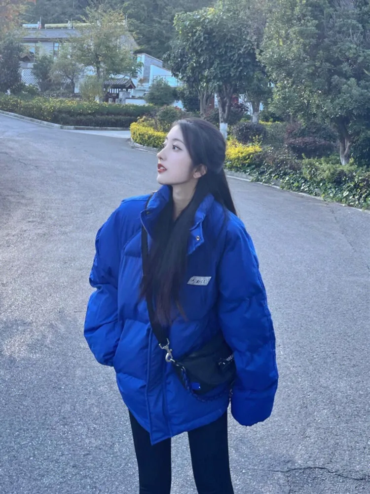 

Klein Blue Oversize Women's Trendy 2025 New INS Hong Kong Sle High-End Feeling Cotton Jaet Zipper Closure Long Sve Win...