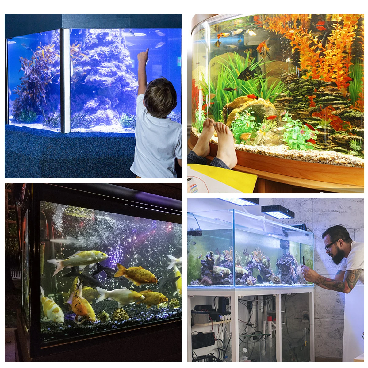 

Fish Tank Background Sticker Decorations Wallpaper Non Glare Durable High Definition Picture Aquarium Backdrop Bowls