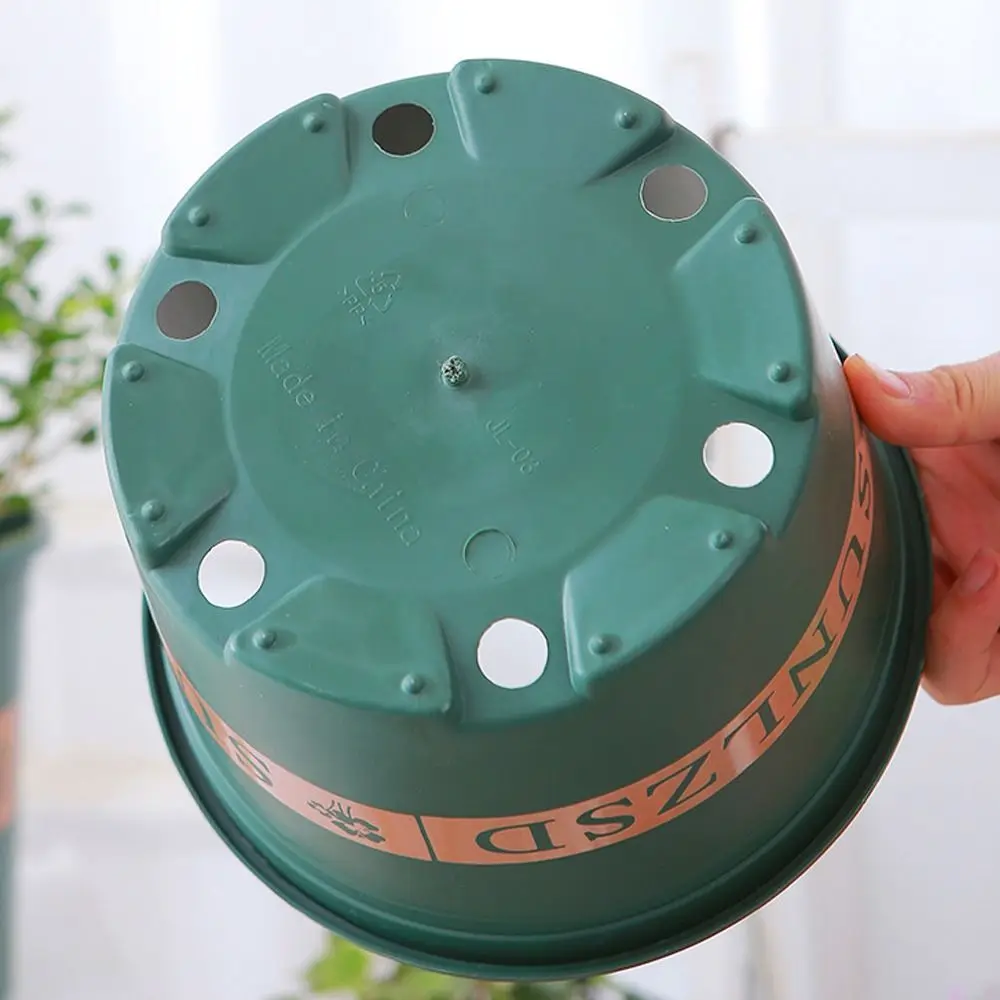 الشمال نمط الأحمر مكتب حديقة مكتب ديكور السحلية للمنزل اناء للزهور البستنة اناء للزهور العصارة وعاء جالون حوض