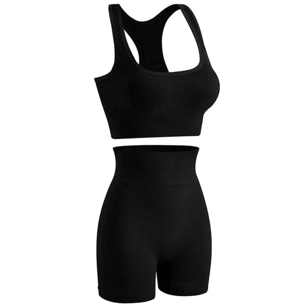 

2 Pieces Casual Seamless Workout Outfits Ribbed High Waist Short Yoga Tank Sets Round Neck Sleeveless Tracksuit Biker