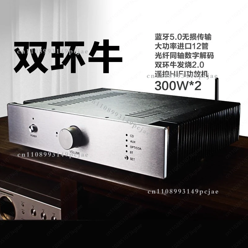 Power amplifier 2.0 household audiophile high fidelity high power Bluetooth digital decoding