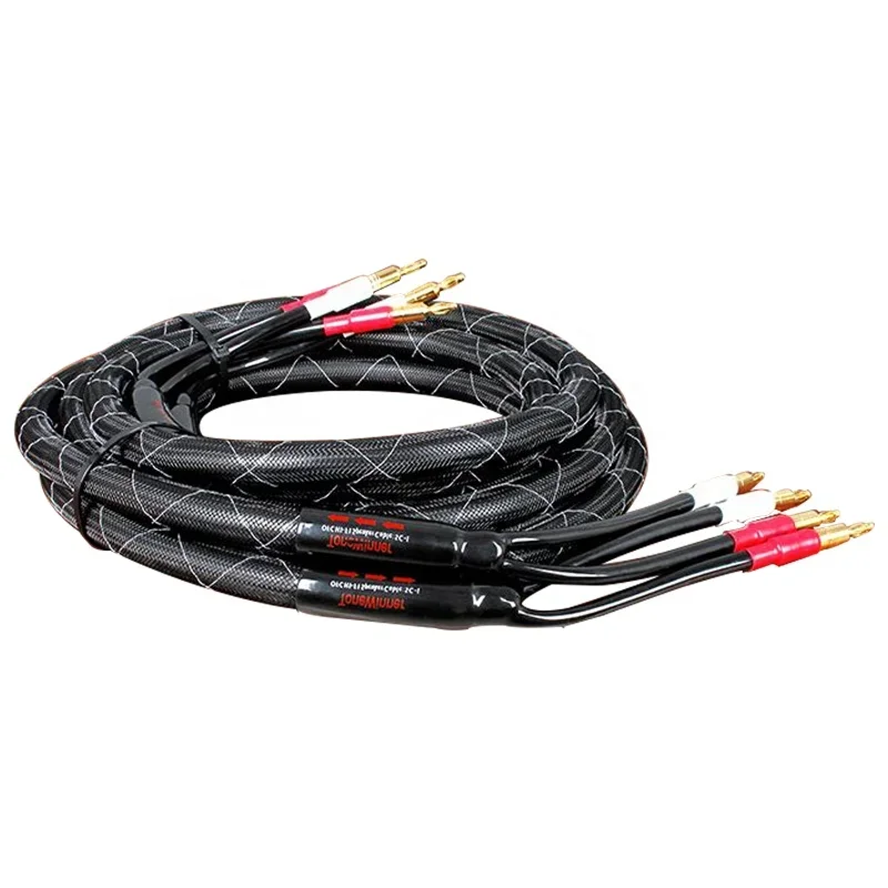 

2025 Tonewinner SC-1 Hi-Fi Low Impedance OFC Audio Speaker Cable