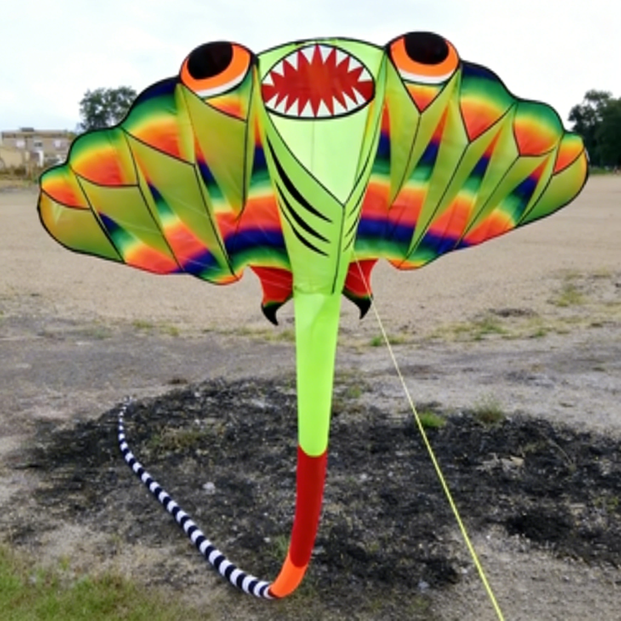 12.5M 3D Soft Manta Ray Kite, Features 9 Air Inlets, 200M Line Wheel, Made of Tear-Resistant Nylon, With Portable Carrying Bag.