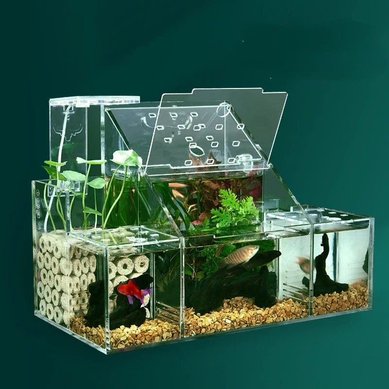 Ecological fighting fish tank guppy hatching special isolation box circulating water filtration creative tank