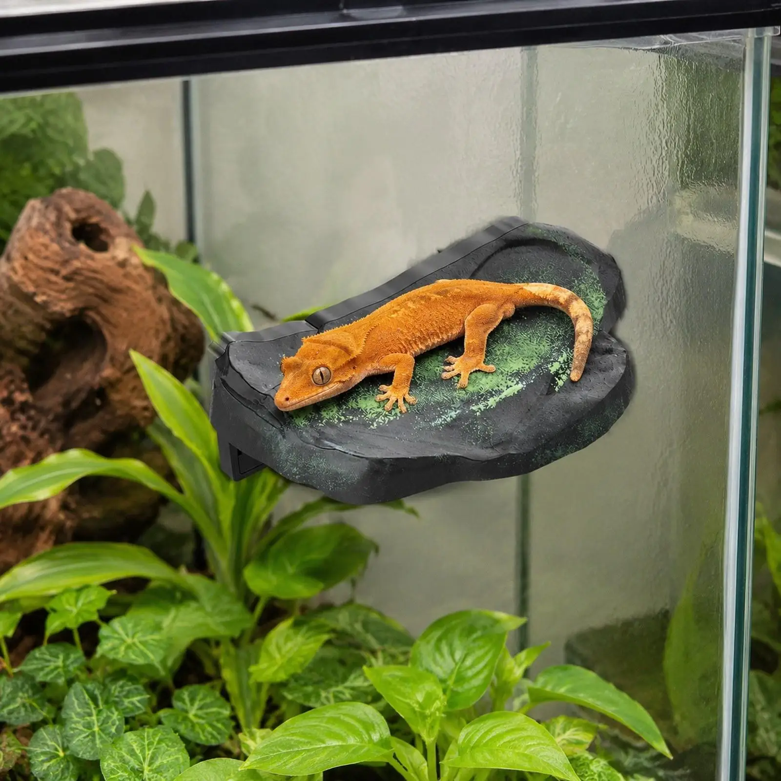 Turtle Basking Platform Professional Resting Multi Functional Fittings Accessories