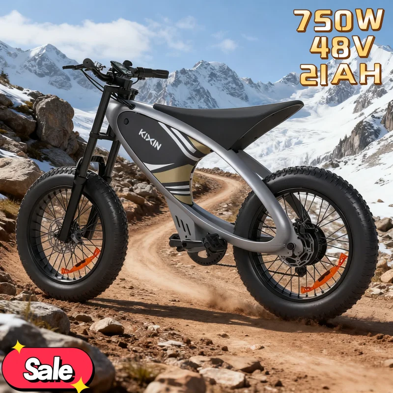 

New fashionable electric bicycle 750W motor 48V 21AH battery novel adult high-performance E-bike for leisure and entertainment