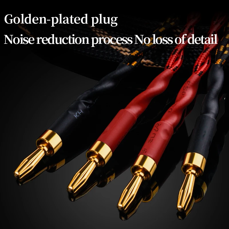 YYAUDlO One Pair Of HlFl Speaker Cables High-end Occ SpeakerCables For Hi-fi Systems And Banana Plug Speaker Cables