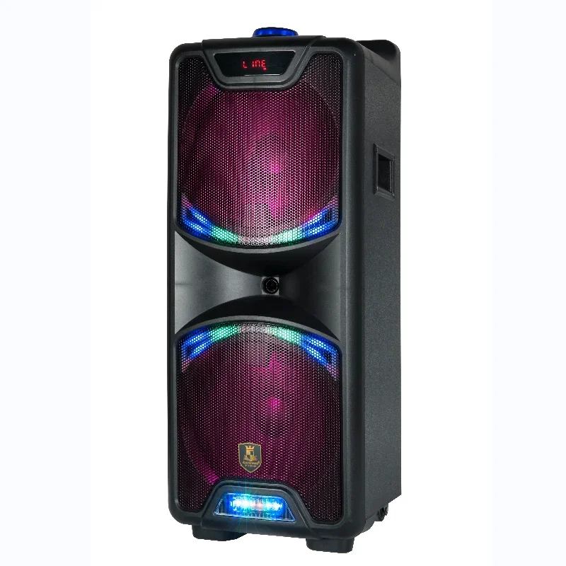 

Subwoofer portable PA system BT TWS karaoke sets pro dj system