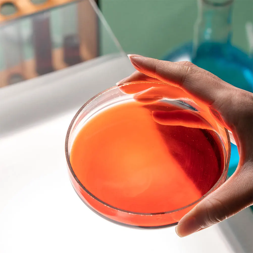 

Glass Petri Dish Durable Thickened Glass Secure Lid Laboratory Cell Culture Dish Scientific Observation Plate Petri Dishes Bulk