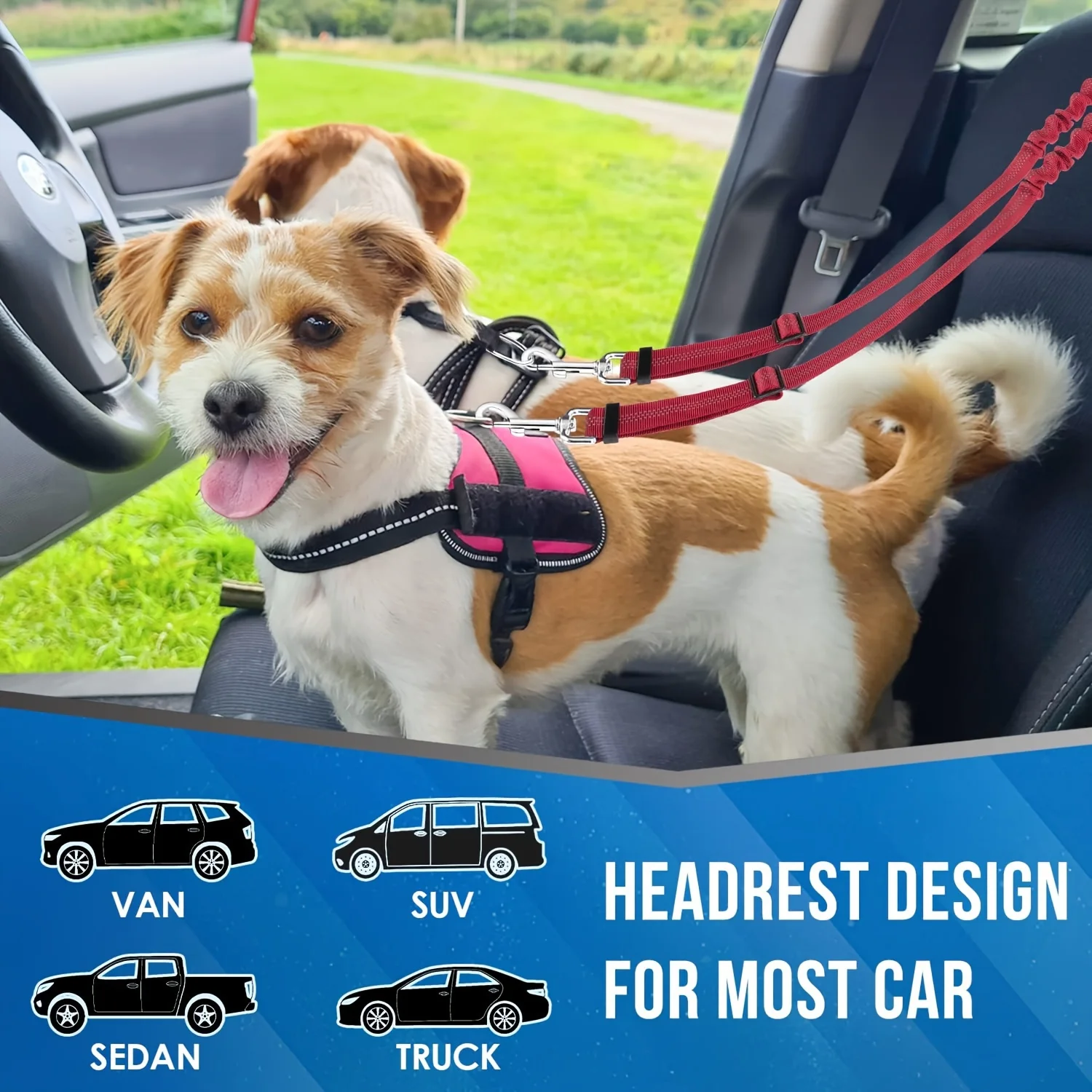 Thumbnail 3 - #8 Compare Dog Seat Belts Before You Buy