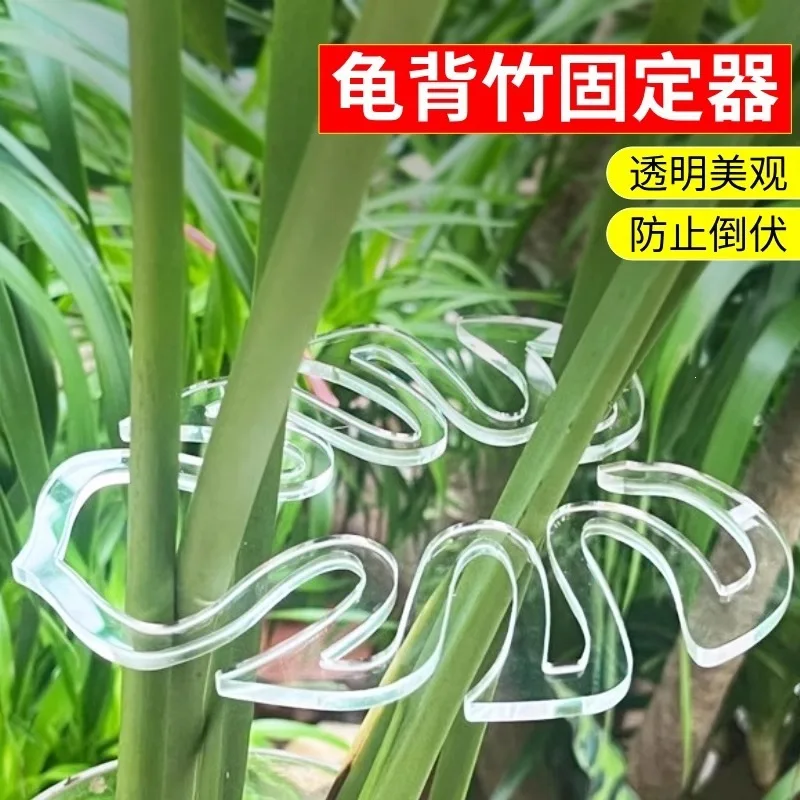Turtle Bamboo Plant Green Plant Support Rod Anti-lodging Spring Rain Bracket Money Tree Retainer Fast Delivery