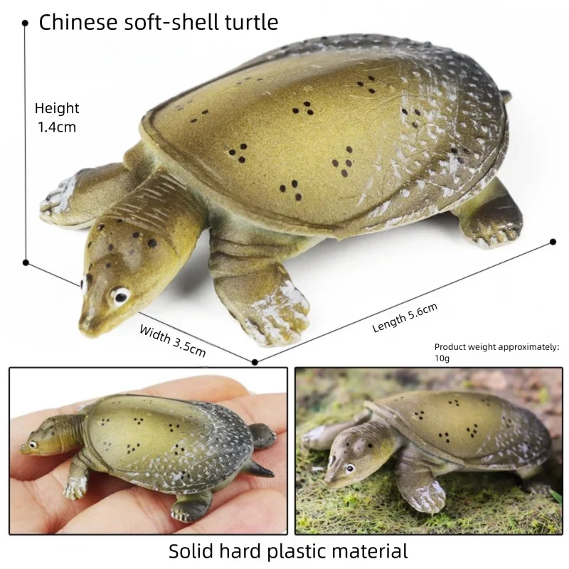 Oenux Simulations-Schildkröten-Set: Alligator, Galapagos-Schildkröte, Chinesische Weichschildkröte Figuren und Puppen – Detail 30