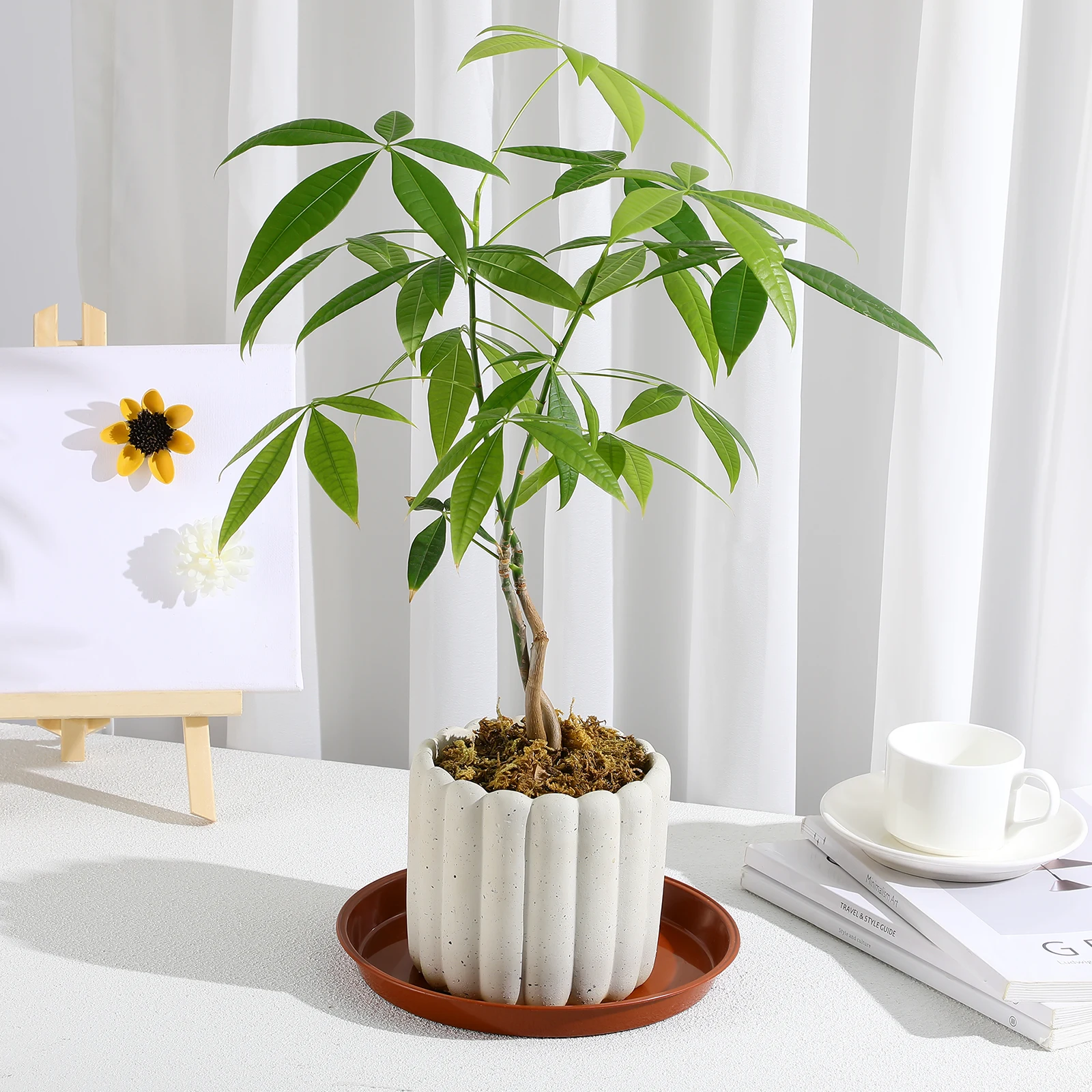 

10pcs Flower Pot Tray Deformation Resistant Saucer Sturdy Small Plant Bottom Bracket Heat Resistant Plastic Succulent Draining