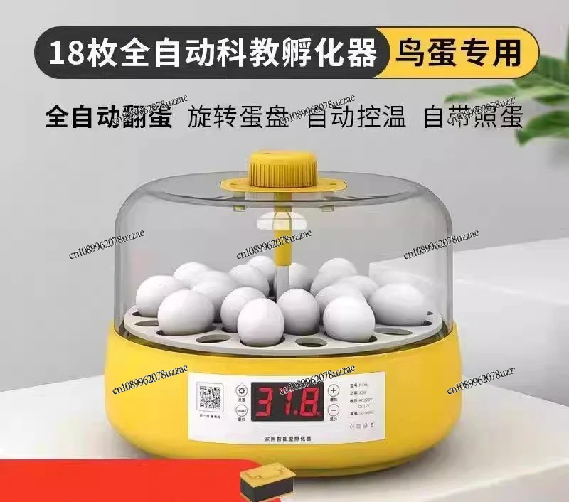 Bird Parrot Incubator Small Household Machine Xuanfeng Peony Quail Pigeon Tiger Skin Intelligent