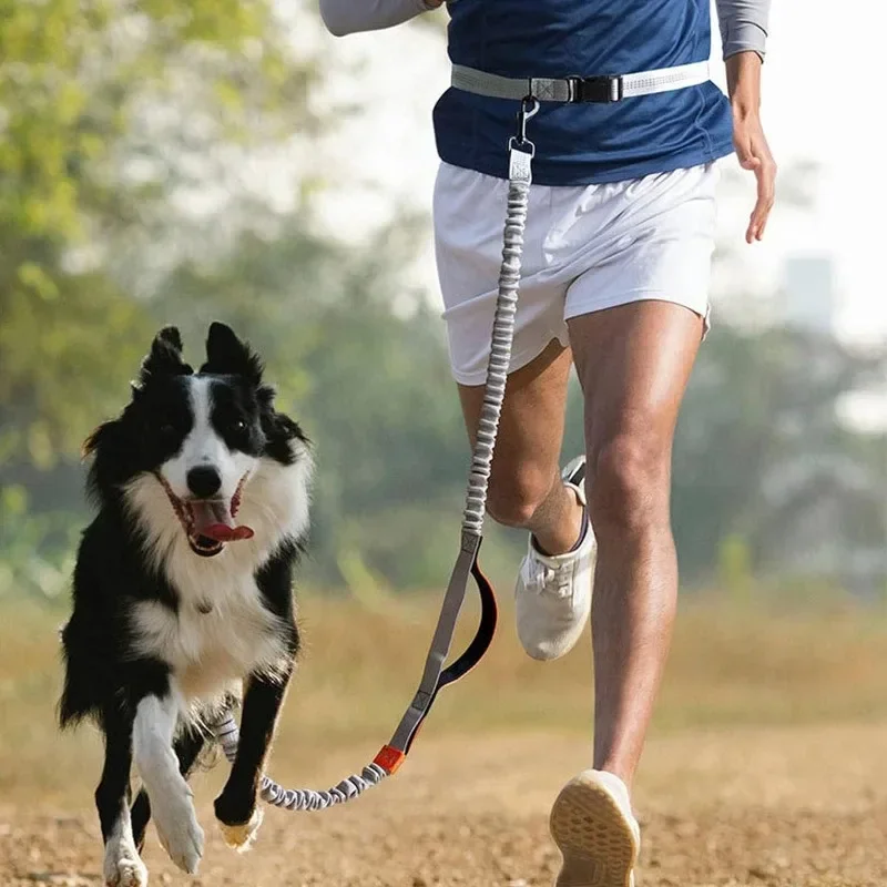 Retractable Hands Free Dog Leash for Running Judge Leash Large Dog Pet Supplies Dog bows Small dog harness Service dog Dog shirt