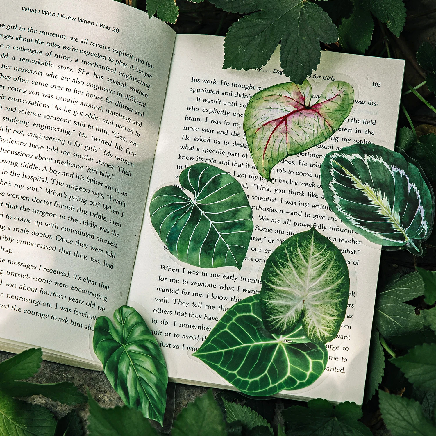 20 pcs Large size Plant leaves Theme Flower plants sticker Pack diy Scrapbook material stickers creative Stationery supplies