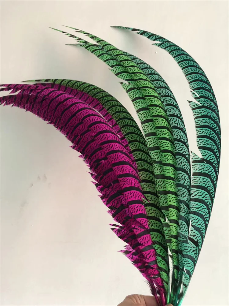 5PCS Hot Pink Dyed Zebra Pheasant Tail Feathers Natural Lady Amherst Pheasant Feather Plumes Carnival Backpieces Making Plumas