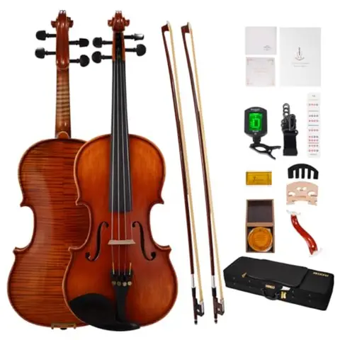 Violin 4/4 Full Size Set Fiddle Solid Wood with Ironwood Octagonal Bow Rosewood Bow Extra strings Bridge 2 Rosins Tuner Mute Ca