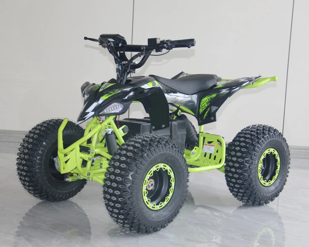 

Electric Transportation Vehicle ATV with Instrument with LED 8 Hours Charging Time