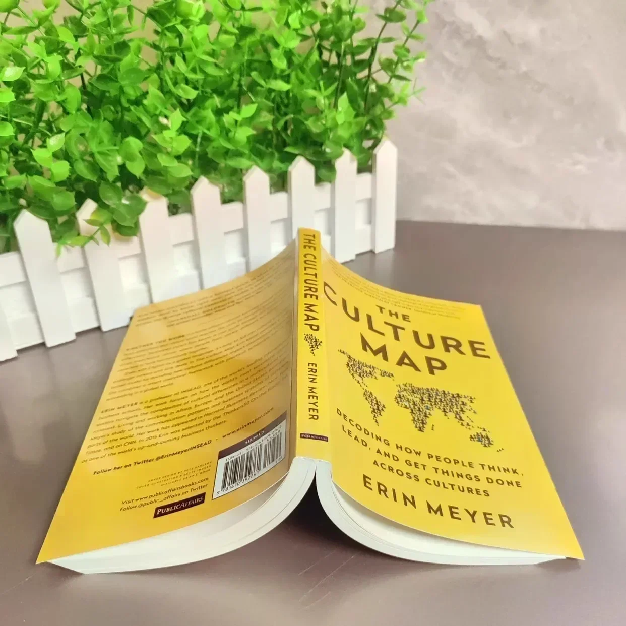 The Culture Map by Erin Meyer Decoding How People Think,Lead And Get Things Done Across Cultures English book