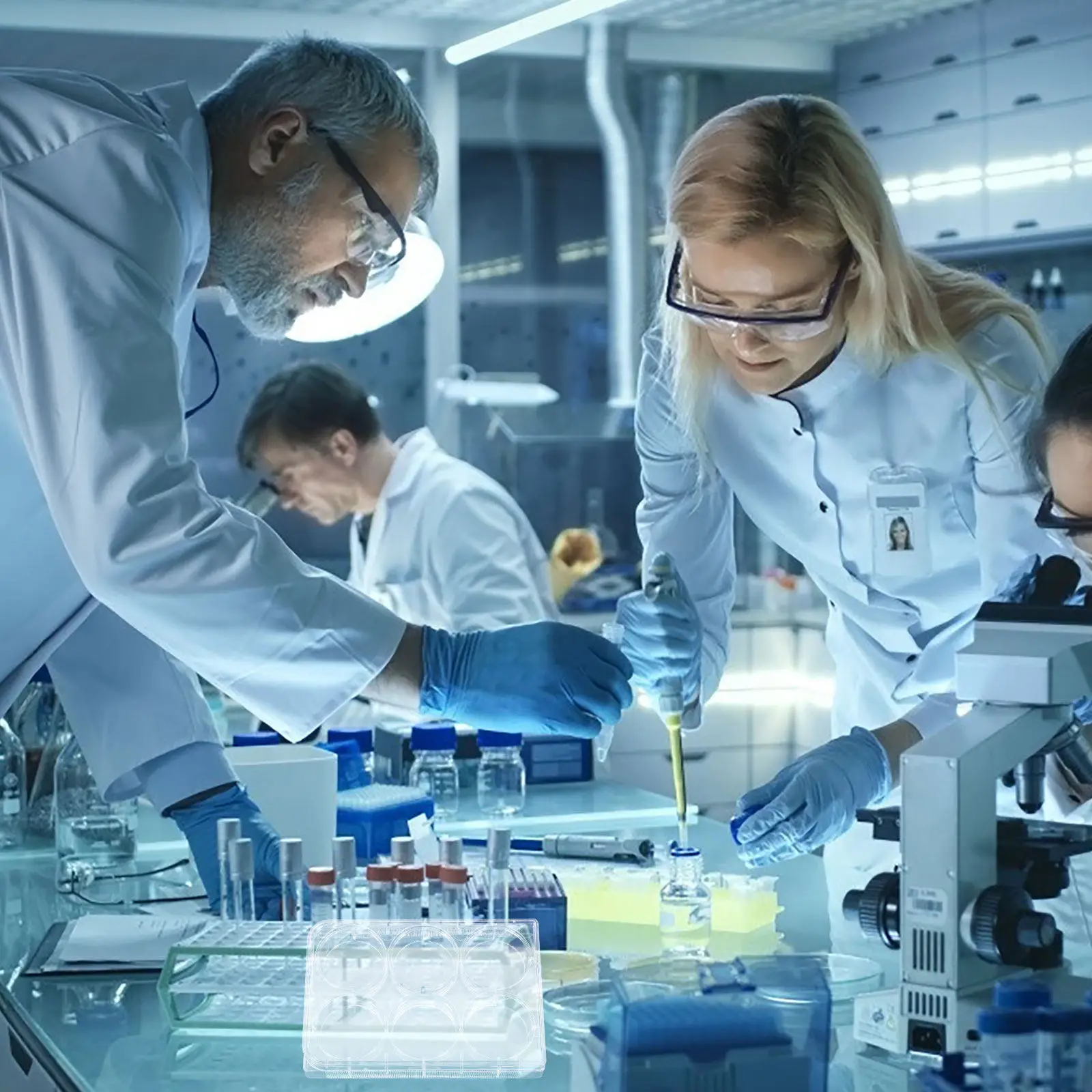 6-Well Cell Culture Plate Tissue Culture Tray for Laboratory Design for Simultaneous Sample Testing Lab Equipment
