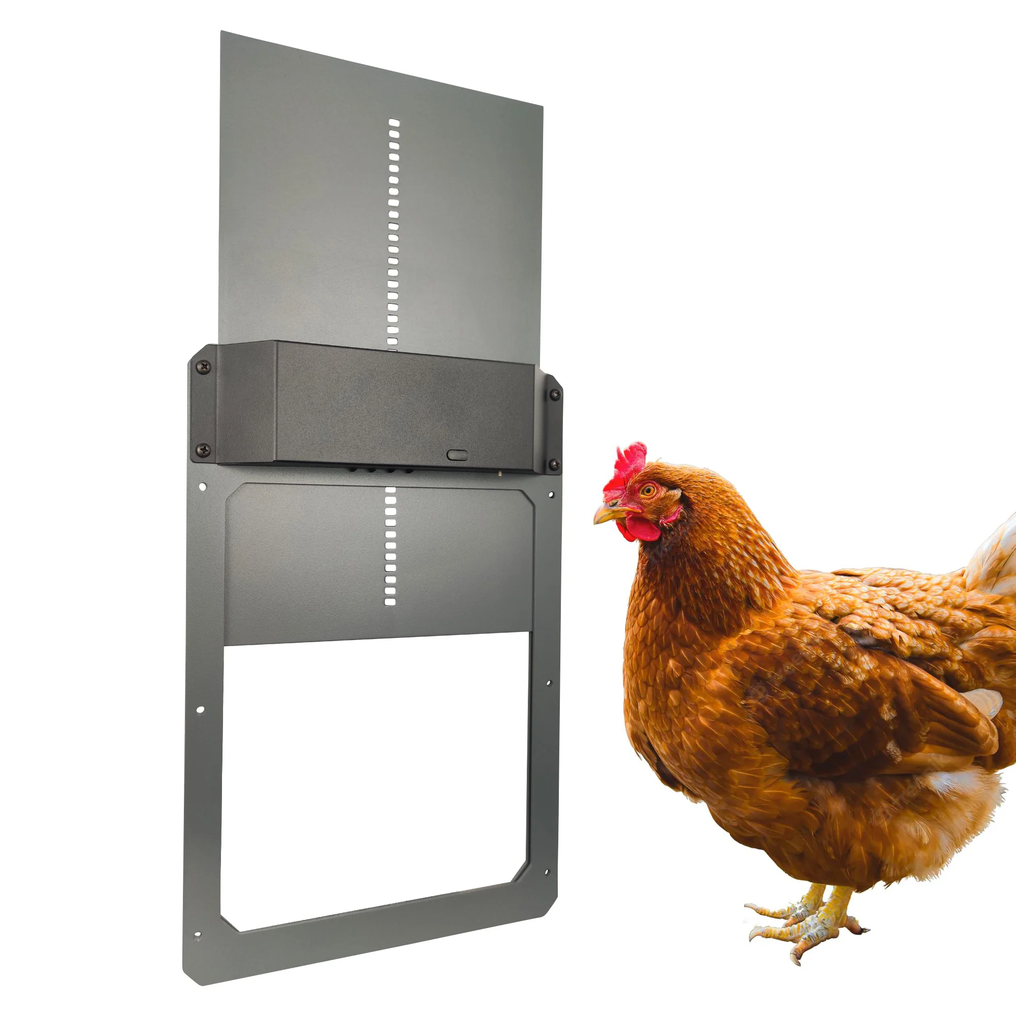 

Automatic Chicken Coop Door