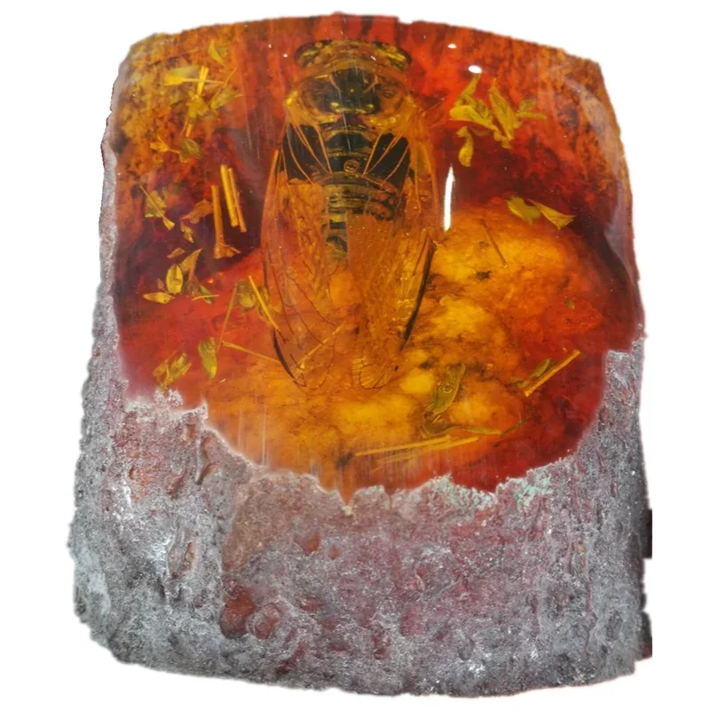 100% Natural Amber cicadas Statue Furnishing articles home decoration