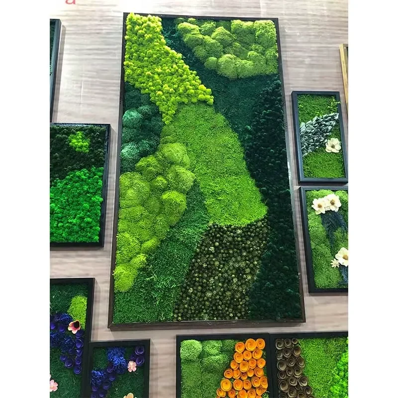 Wholesale Preserved Moss Wall Decoration Modern Green Moss Wall Stabilized Wall Decoration Reindeer Moss
