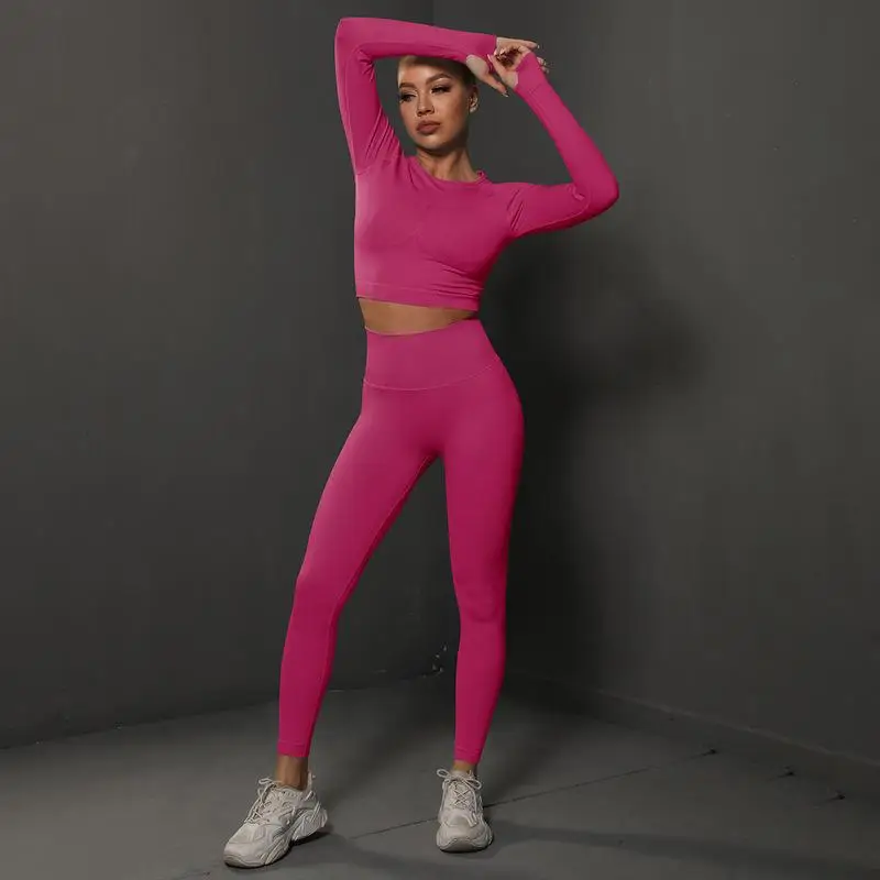 Solid Color Soft Seamles mesh hole Women Gym Yoga Set Fitness Long Sleeve wear High Waist Yoga Legging Comprehensive Training Jo