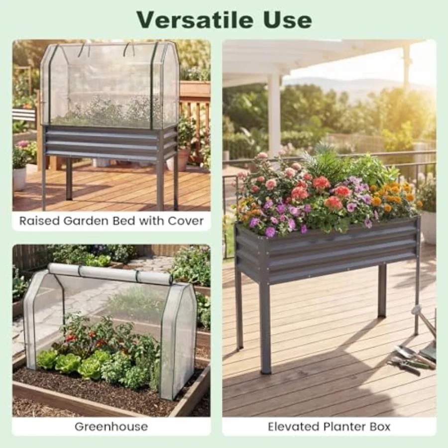 Raised Garden Bed with Legs and Greenhouse Cover, 44x22x60 Elevated Metal Planter Box with Roll-up Door, Outdoor Mini Greenhous