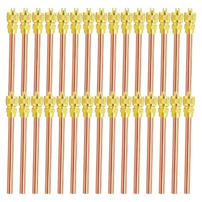 Exquisite-30Pcs Access Service Valve,Refrigerator Access Valves Kit, Stem Core AC Refrigeration Service Valve