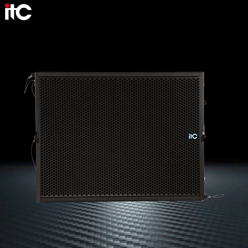 

ZJZ Line Array Speakers 24 Inch Passive Line Array Speaker Line Array System for Sale