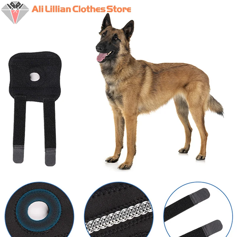 Dog Knee Pads Injury Recovery Fixed Support Brace Pet Protector Pain Relief Feet Cover Leg Joint Wrap Support Pet Recover