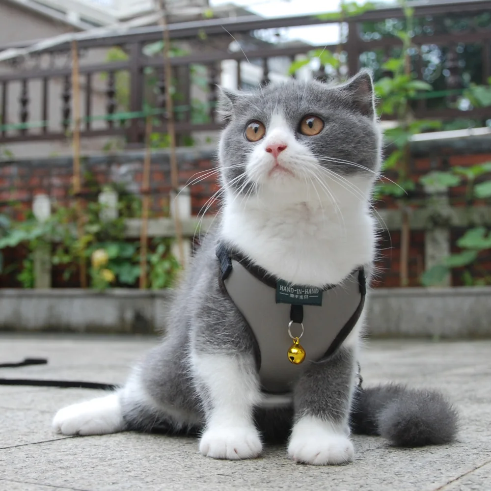 Dog Cat Harness Vest Pet Adjustable with Bell Walking Lead Leash for Puppy  Mesh Harness for Small Medium Dog Imitated Leather