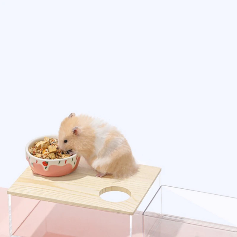 Hamster Sand Bath Shower Box Dwarf Chinchilla Sauna Room Acrylic Digging Sand Container Small Animals Bathroom Toilet for Gerbil