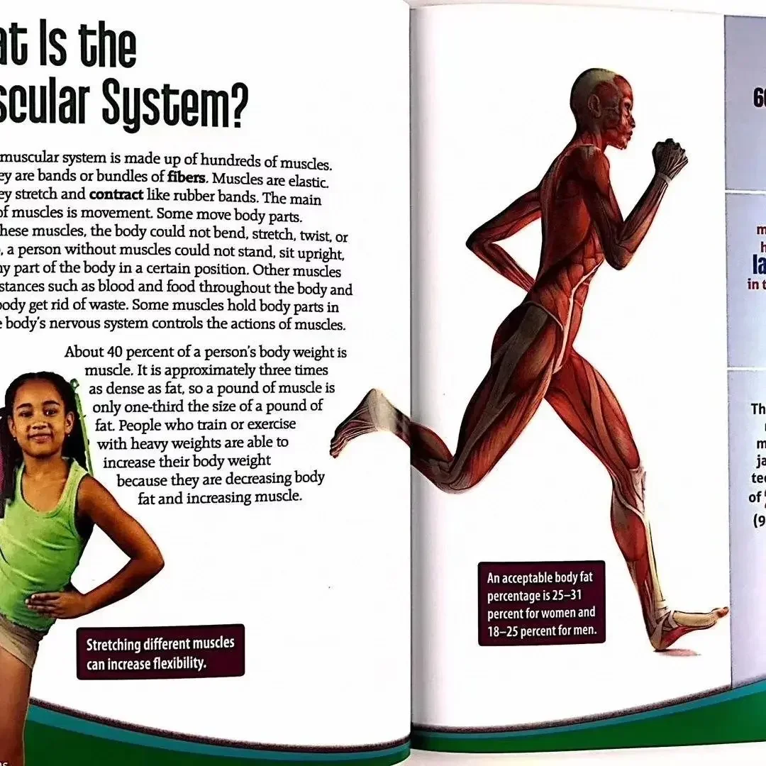 AV2 قراءة غير خيالية 23 كتاب قصص تنوير للأطفال من عمر 6 إلى 12 سنة #3