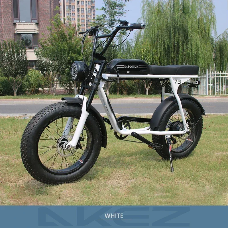 SUP73 Electric Bike 1500W 48V18AH battery Leisure commuting with Hydraulic Brake Electric Bicycle 20 inch tire off-road E-bike image 1