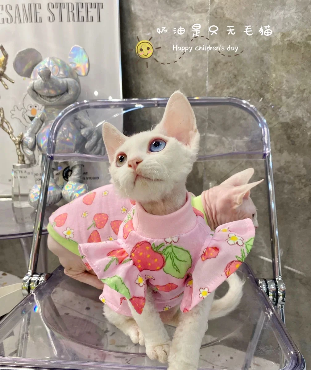 Elegant Luxury Sphynx Cat Clothes Summer Dog Fancy Dress For Hairless Cats Clothing Small French Bulldog Puppy Costume Kittens