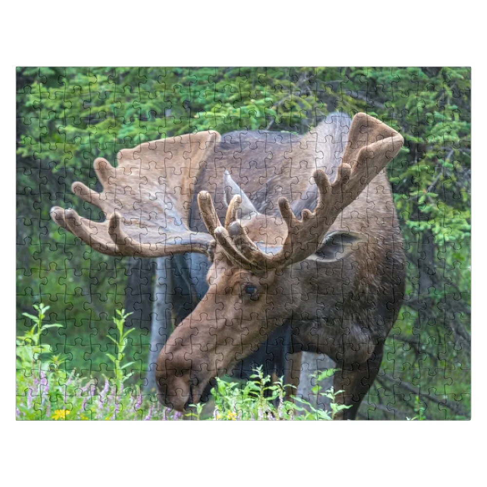 Wild Male Moose with Antlers in Alaska Jigsaw Puzzle Personalized Gift Ideas Personalised Name Puzzle