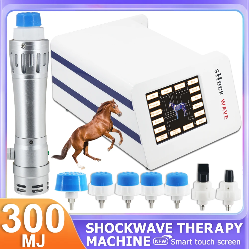 

Portable Shockwave Therapy Machine For Horse 300mj Shock Wave Therapy Instrument Pain Rehabilitation Professional Racecourse Use