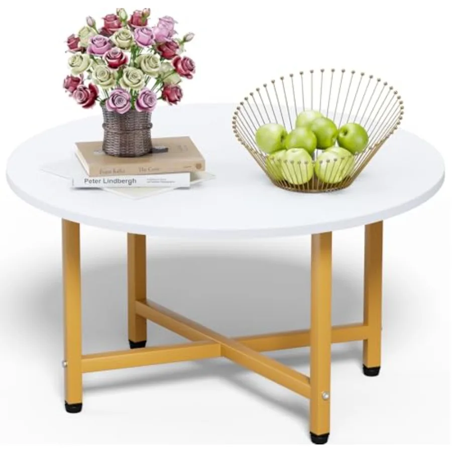 

Coffee Table 23.6" Coffee Tables for Living Room Round Coffee Table with Metal Frame Floor Table for Sitting on The Floor Home