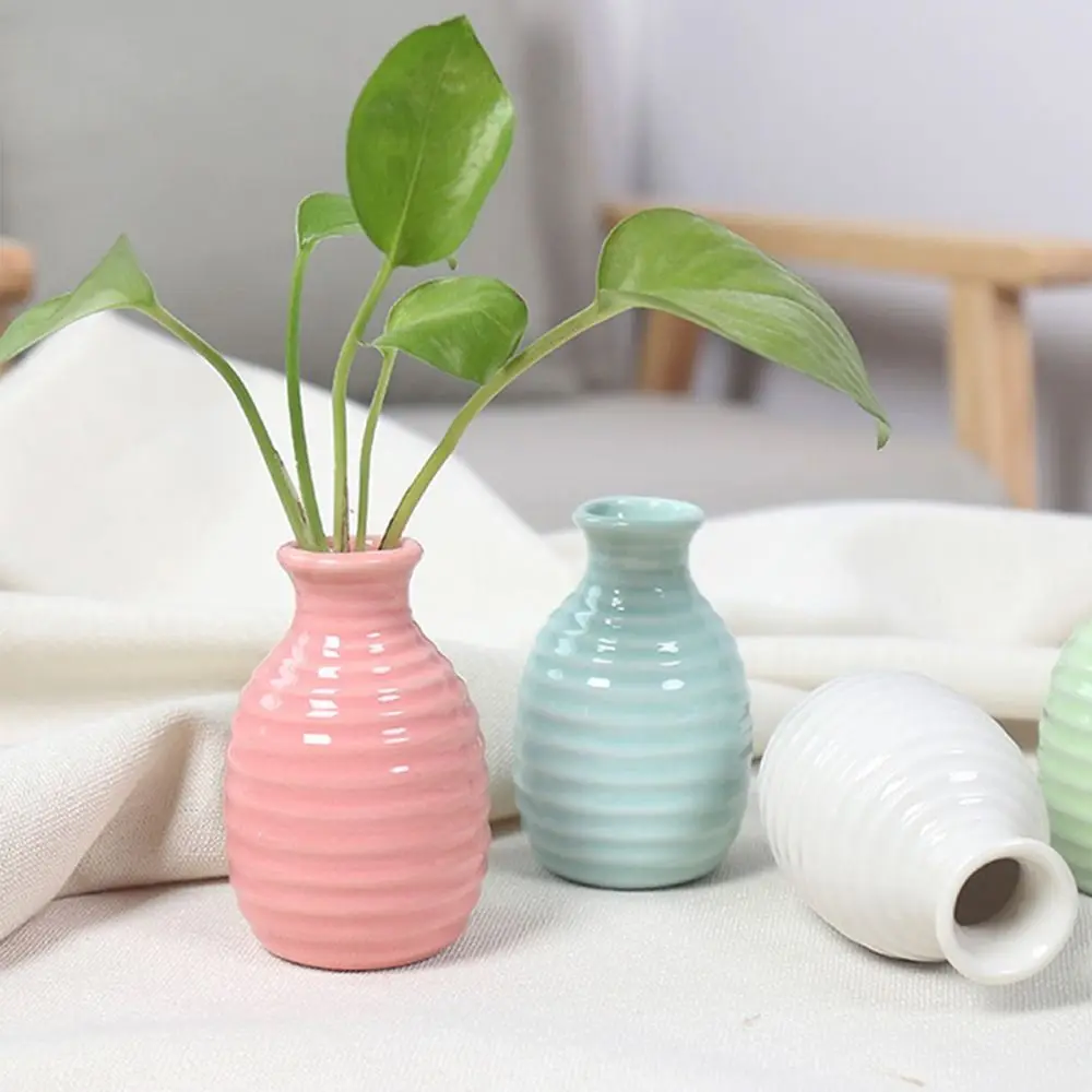 Simple Style Desktop Hydroponic Vase Creative Mini Cute Ceramic Samll Vase Hydroponic Design Garden Plant Flowerpot Tabletop