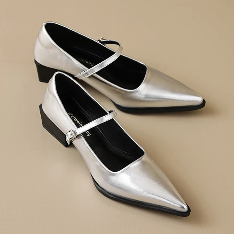 

Женская обувь Туфли-лодочки с острым носком Пряжка Массивные каблуки Неглубокие сандалии Кожаные туфли-лодочки на среднем каблуке Сексуальные шлепанцы большого размера Черный Серебристый