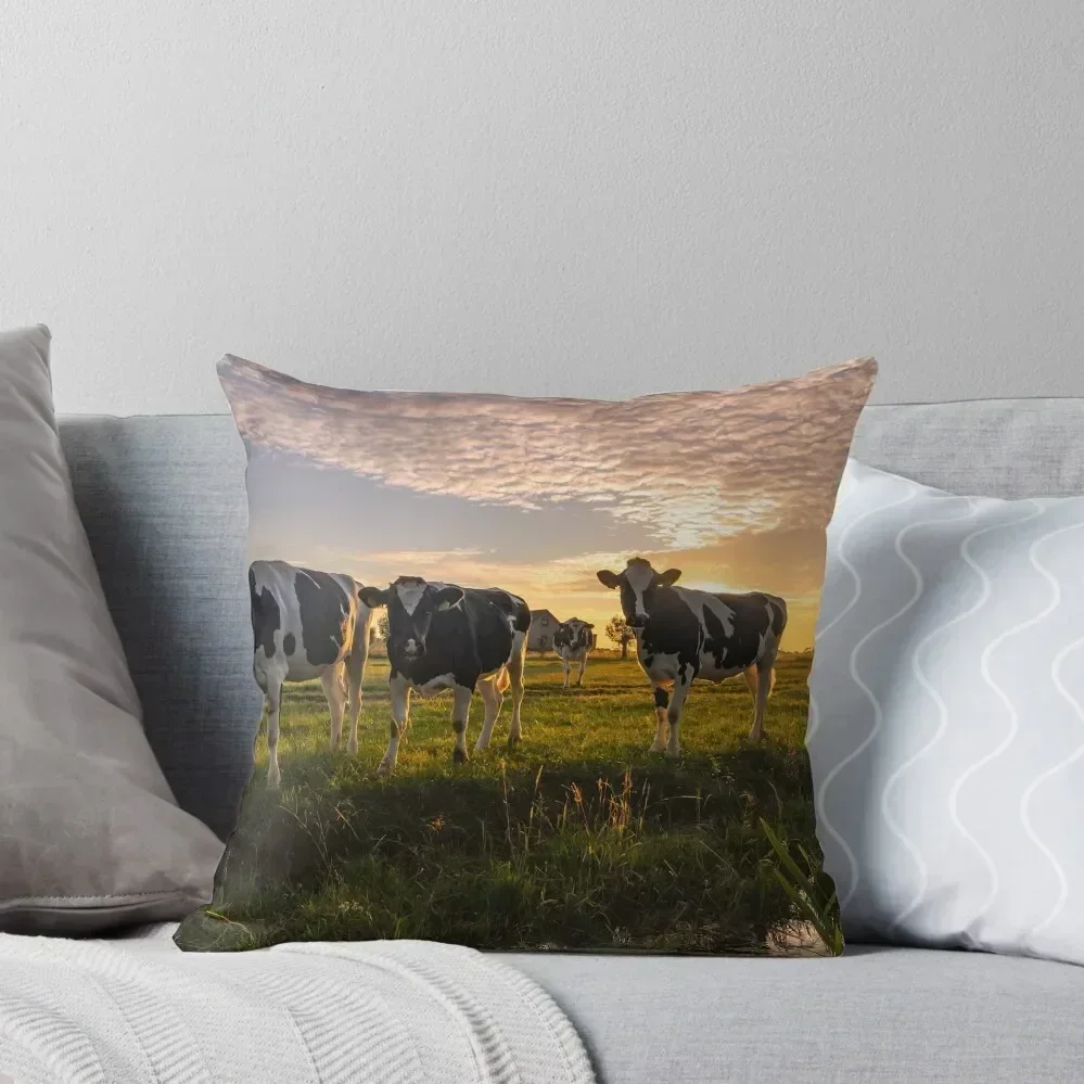 

Cows in a Field Throw Pillow Cushions Home Decor Pillow Cases Decorative Custom Cushion Photo Pillows Aesthetic pillow