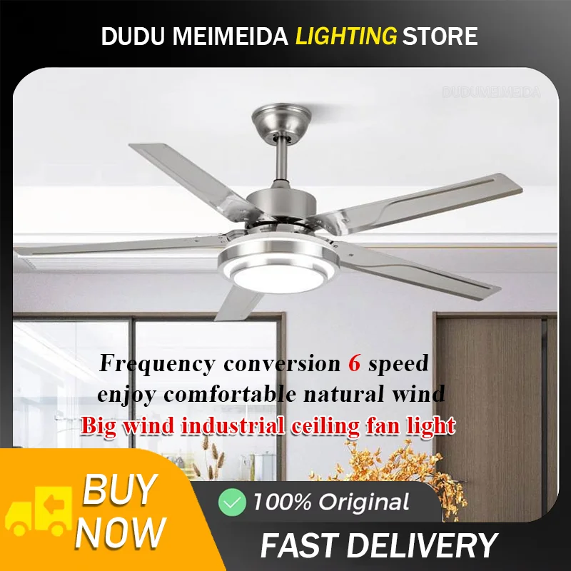 42 52 Inch Ceiling Fan Light ,Inverter Motor ,Nordic Ceiling Fan With Lamp Remote Control.