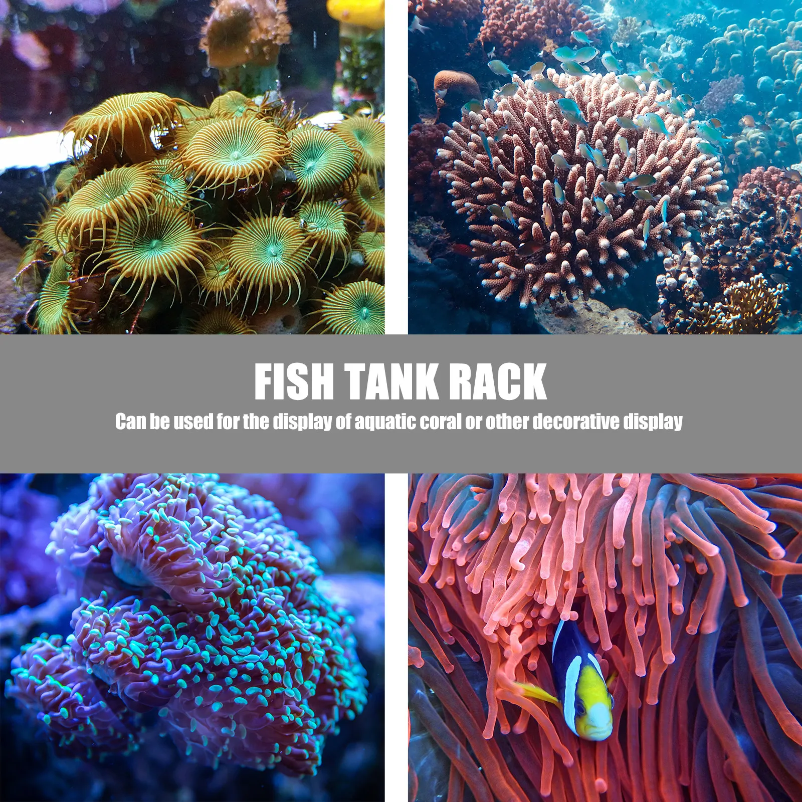 1Pcs Coral Base Stylish Strong - огляд і ціна Aquarium Planted Tank Setup
