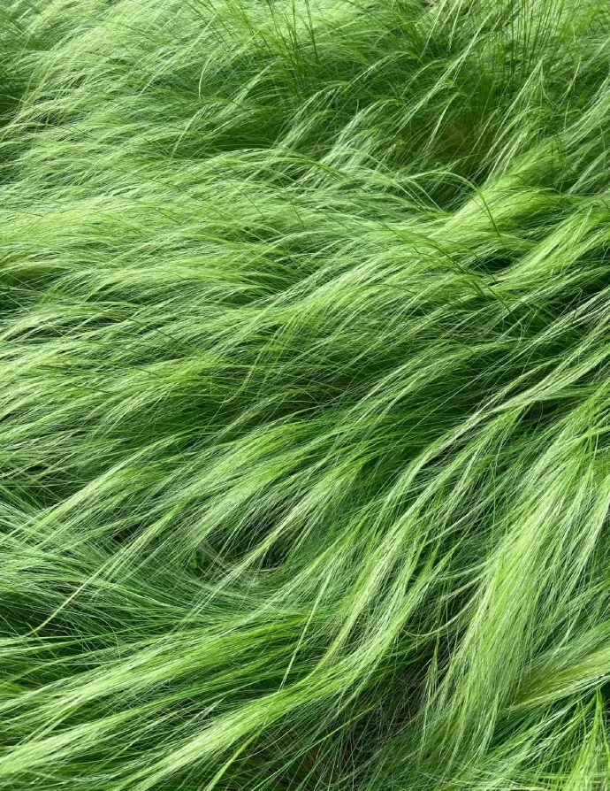 

Healthy Smart Ring IP68 Waterproof Blood Pressure Heart Rate Sleep Blood Oxygen Monitoring Multi-sport Modes Ring For Men Women