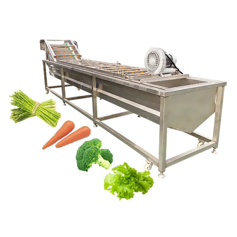 small scale automatic continuous fruit vegetable bubble washing machine and sorting machine vegetable washing machine